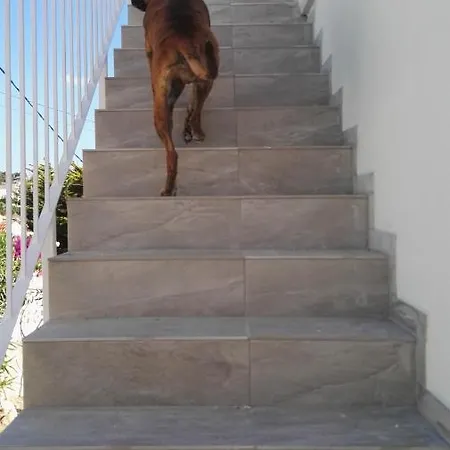 Casa Ceilo Lejlighed