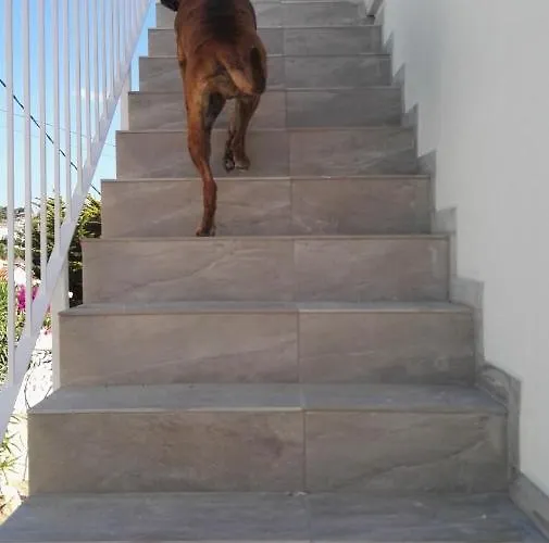 Casa Ceilo Apartman